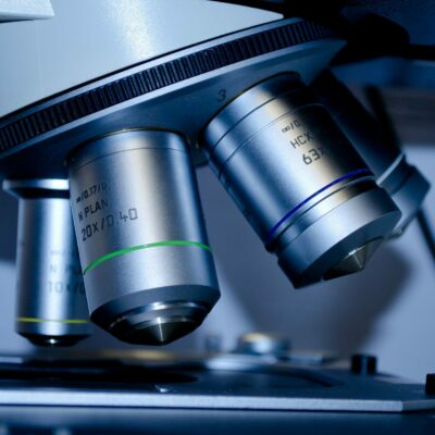 Des compléments alimentaires à la formulation en complexe nutribiotique unique.