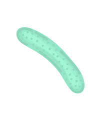 souche bacterienne aux propriétés remarquables pour votre santé