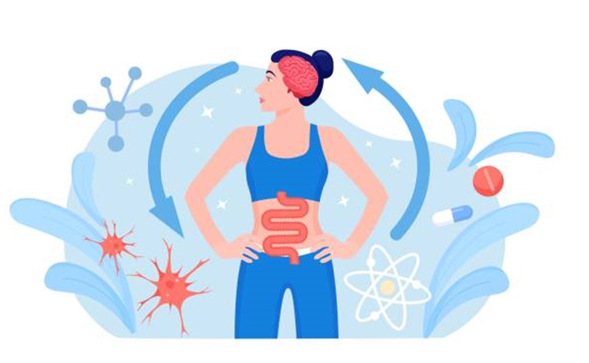 Relation microbiote-cerveau : comment les probiotiques régulent notre ...