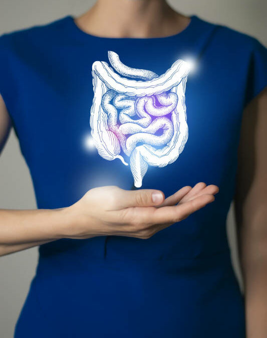Le microbiote au cœur du dialogue intestin-cerveau